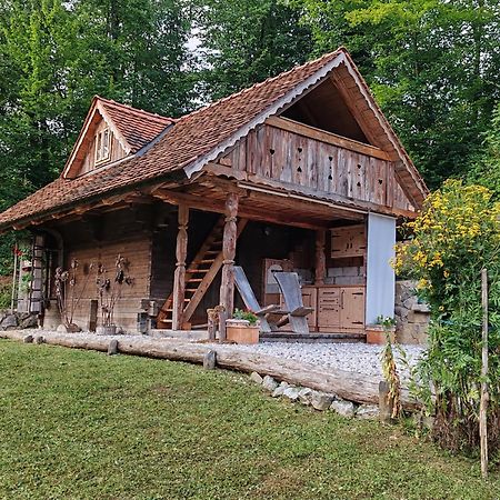 Apartma Kasca Domžale Eksteriør bilde
