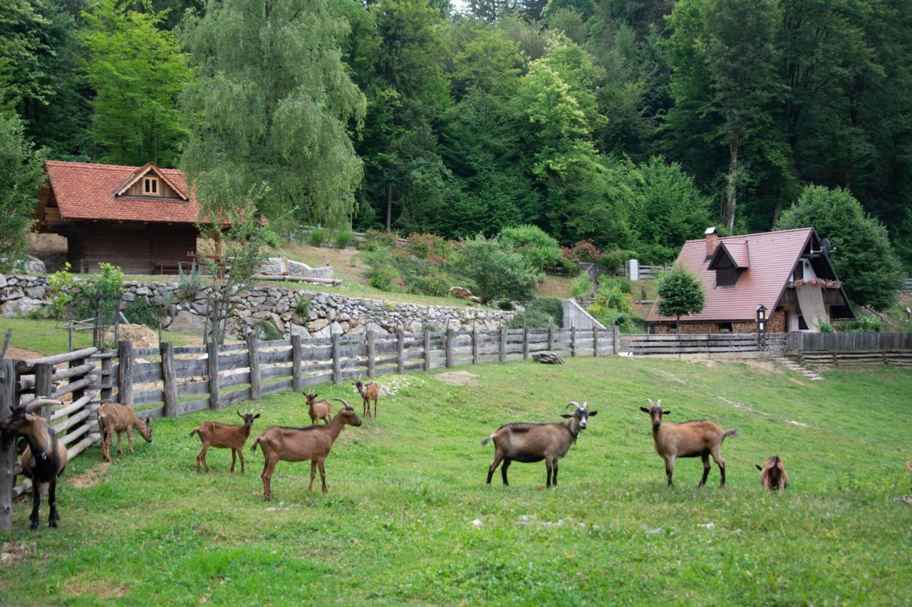Apartma Kasca Domžale Eksteriør bilde